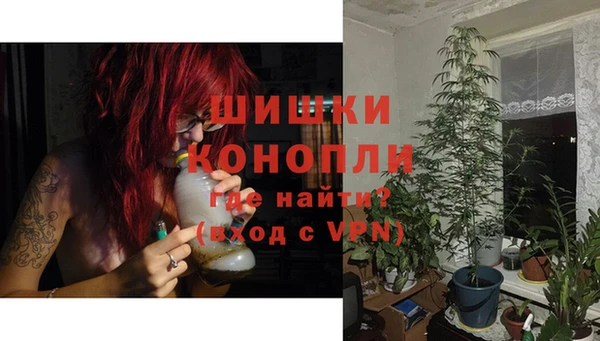 ГАЛЛЮЦИНОГЕННЫЕ ГРИБЫ Бронницы